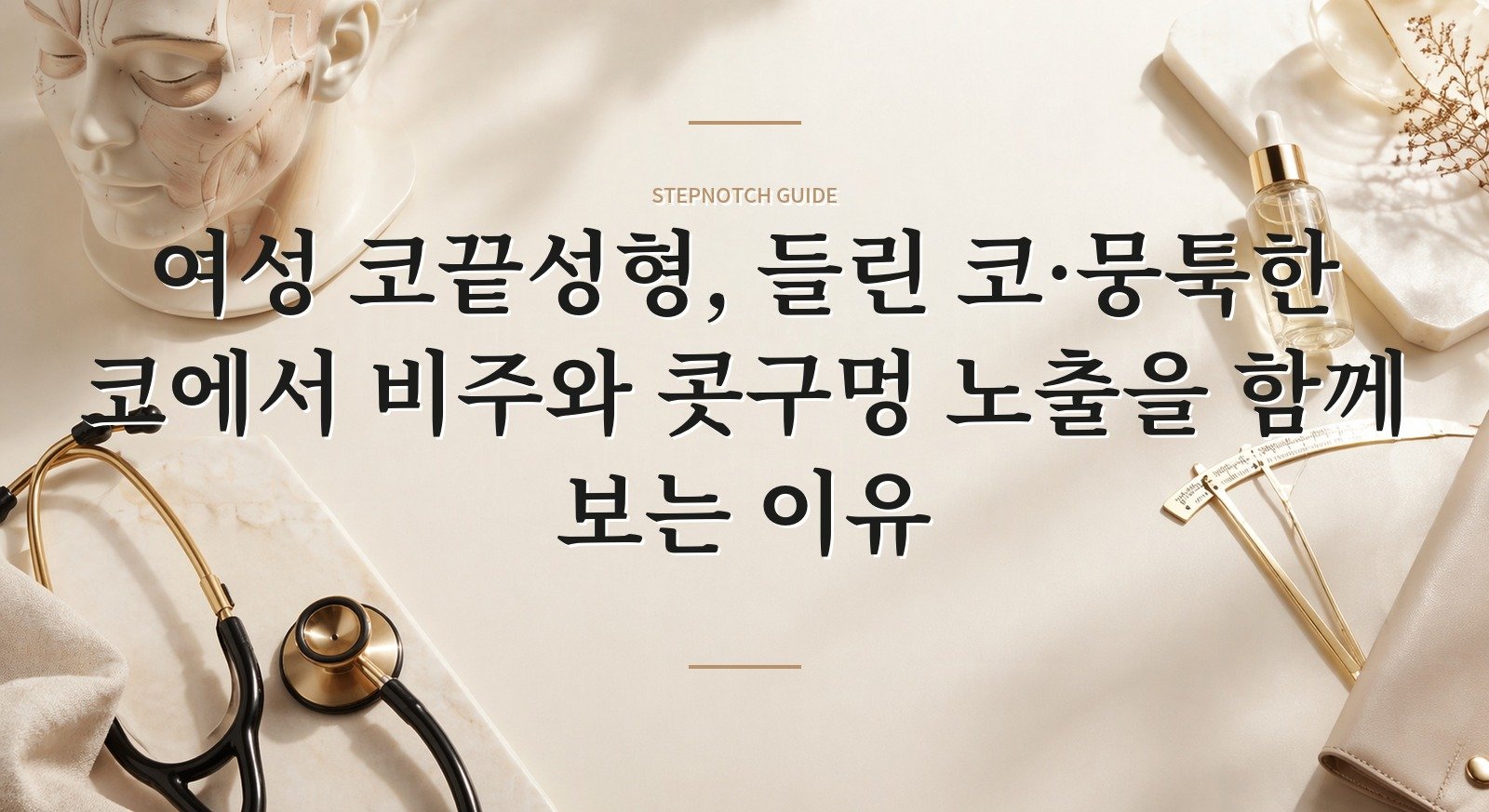 여성 코끝성형, 들린 코·뭉툭한 코에서 비주와 콧구멍 노출을 함께 보는 이유 핵심 정보
