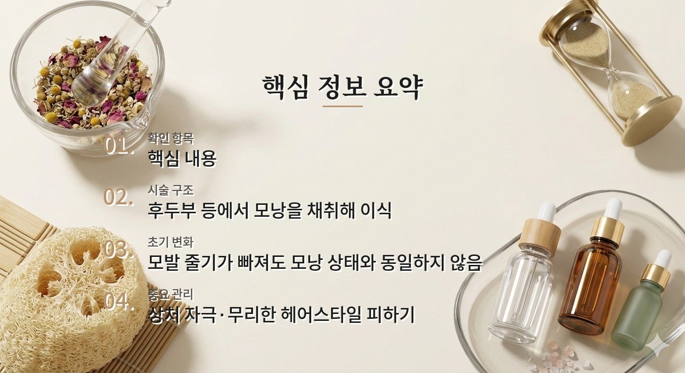 헤어라인 모발이식 후 머리가 빠질 때, 이식모 탈락과 생착을 혼동하지 않는 법 비교 가이드