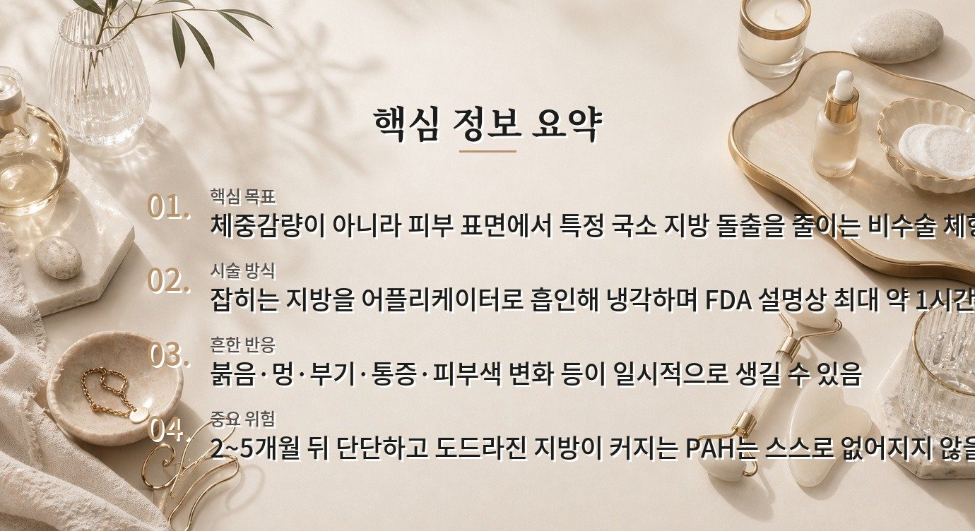 냉동지방분해, 체중감량과 다른 목표와 PAH 위험을 함께 보는 법 비교 가이드